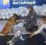 Масштабная всероссийская ярмарка вакансий прошла в Калининграде - Калининградская ГТРК