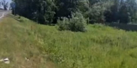 Бабушка часами лежала на жаре под Калининградом - ИА Русский Запад