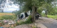 В Зеленоградском районе мусоровоз врезался в дерево - Комсомольская правда