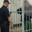 «Смотрящему» за Калининградской областью грозит 13 лет колонии строгого режима - Калининградская ГТРК
