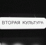 В Калининграде закрылся независимый книжный магазин «Вторая культура» - NewKaliningrad.Ru