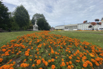 Погода в Калининградской области 9 июля