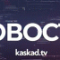 Экотуризм, палаточные лагеря и опасное мясо. Новости 11 июля - Kaskad.TV