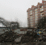 Компании «Шелест» вновь разрешили вырубку на ул. Борзова (фото) - NewKaliningrad.Ru