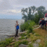 В Куршский залив выпустили 500 тысяч мальков сига - Kaliningrad.Ru