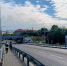 На улице Суворова в Калининграде разрешили вырубить 25 деревьев - Kaliningrad.Ru