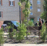 В Черняховске новый сквер засадили кленами и можжевельником - Комсомольская правда