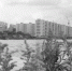 Преголя.jpg - NewKaliningrad.Ru