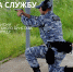 Внимание, вакансии! - УФССП