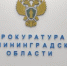 В Калининграде собака вцепилась в лицо 12-летней девочке - Комсомольская правда