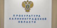 В Калининграде собака вцепилась в лицо 12-летней девочке - Комсомольская правда