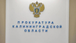 В Калининграде собака вцепилась в лицо 12-летней девочке