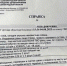 В центре Калининграда американский булли зверски покусал 12-летнюю - ИА Русский Запад