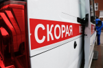 Прокуратура проводит проверку из-за нападения собаки на 11-летнюю девочку в Калининграде