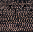 1000-Panorama-resized - Янтарный Край