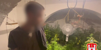 Отец новорождённых близнецов из Калининграда задержан за выращивание конопли - KaliningradToday.Ru