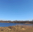 Под Гурьевском у олигарха забрали участок рядом с водой - ИА Русский Запад