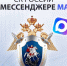 Следственный комитет России запускает официальный канал в MAX - Янтарный Край