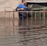 Гид из Калининграда стал погружаться в воду прямо у дома - ИА Русский Запад