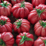 9 тысяч тонн импортной плодоовощной продукции поступило в Калининградскую область - KaliningradToday.Ru