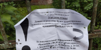 Жители об ограде на Невского: ей больше ста лет, а сейчас её посчитали незаконной (фото) - NewKaliningrad.Ru