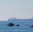 Северное морское пароходство задействовало пять судов на линии в Калининград - NewKaliningrad.Ru