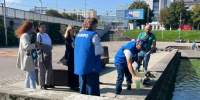 Минприроды: размножение зловонных водорослей на Нижнем озере естественно (фото) - NewKaliningrad.Ru