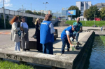 На воде в центре Калининграда начинается пугающее