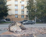 Рыбьи головы вывались на дорогу в Калининграде