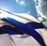 Фото: пресс-служба Балтийского флота - НИА-Калининград