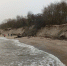 В нацпарке «Куршская коса» рассказали, как «ловить песок силами природы» - NewKaliningrad.Ru