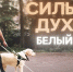 «Зрения нет, но жизнь есть»: RT представил фильм Регины Парпиевой о незрячих ветеранах СВО - Янтарный Край