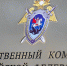 Бастрыкин потребовал доклад о расследовании отравления калининградских детей - NewKaliningrad.Ru