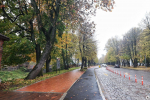 В Калининграде открыли первую часть сквера за башней Врангеля (фото) - Новости Калининграда | Фото: Александр Подгорчук / «Клопс»