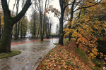 В Калининграде открыли первую часть сквера за башней Врангеля (фото) - Новости Калининграда | Фото: Александр Подгорчук / «Клопс»
