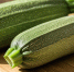 Россельхознадзор запретил ввоз в Калининградскую область партии зараженных кабачков из Турции - Kaskad.TV