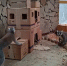 Лимурам в Калининградском зоопарке построили замок из картона - Комсомольская правда