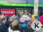 В Калининграде устроили юбилейный рейс троллейбуса, но кататься пришлось в битком набитом душном салоне (фото)