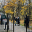 «Осколки памяти»: как изменилось и каким будет старое еврейское кладбище в Калининграде - Kaliningrad.Ru