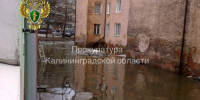 Прокуратура требует расселить 85-летнюю калининградку из аварийного дома - Kgzt.Ru