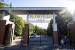 Экспертиза одобрила проект детской и спортивной площадок в Южном парке