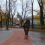 На территории Каштанового парка в Калининграде высадят 80 деревьев и кустарников - Kaliningrad.Ru