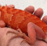 Фото: пресс-служба Управления Россельхознадзора по Калининградской области - НИА-Калининград