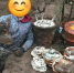Мародёры нашли очередной немецкий тайник под Калининградом - ИА Русский Запад