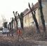 Фото: сайт администрации Советского городского округа - НИА-Калининград