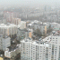 Калининградцы могут высказаться о корректировке Генплана на участке у ручья Воздушного - Администрация г. Калининграда