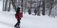 Погода в Калининградской области 28 ноября - NewKaliningrad.Ru