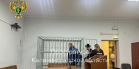 Калининградец сделал замечание владельцу собаки за неубранную кучу, а тот его ограбил - Комсомольская правда