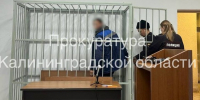 Калининграде обвинён в нападении на полицейского - ИА Бесспорно RU