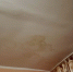 img - ЛДПР